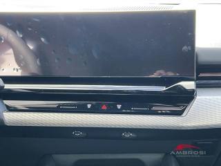 BMW 520 usata 13