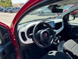FIAT Panda Cross usata, con Immobilizzatore elettronico