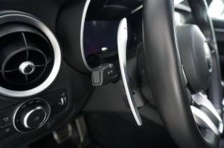 ALFA ROMEO Stelvio usata, con Controllo elettronico della corsia