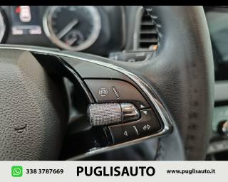 SKODA Karoq usata, con Fari LED