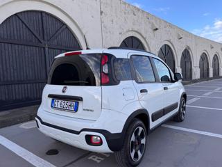 FIAT Panda Cross usata 44