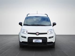 FIAT Panda usata, con Airbag