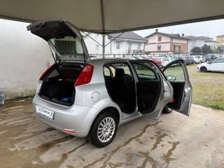 FIAT Punto usata 42