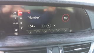 ALFA ROMEO Stelvio usata, con ESP