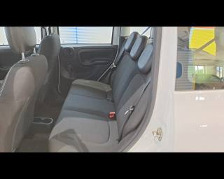 FIAT New Panda usata 17