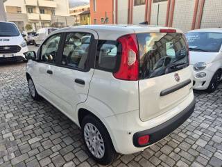 FIAT Panda usata, con Airbag Passeggero