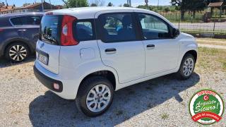 FIAT Panda usata, con Airbag