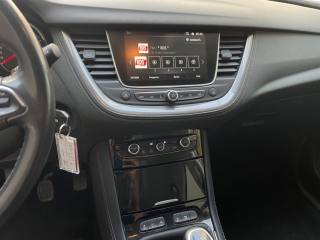 OPEL Grandland X usata, con Cronologia tagliandi