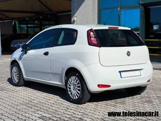 FIAT Punto usata, con Servosterzo