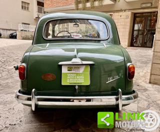 FIAT 1100 usata 5