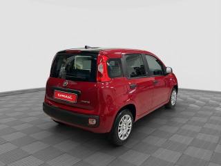 FIAT Panda usata 5