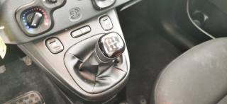FIAT Panda usata, con Airbag testa