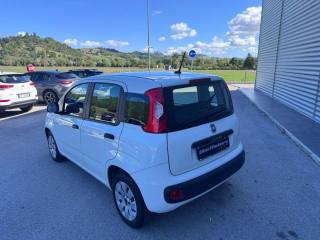 FIAT Panda usata, con Climatizzatore