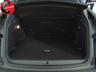 PEUGEOT 3008 usata, con Autoradio