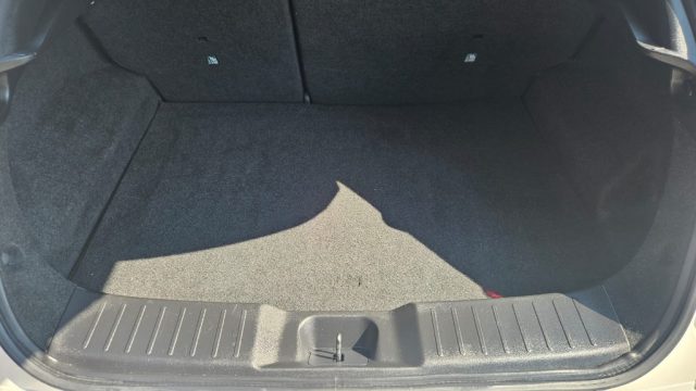 NISSAN Juke usata, con Cronologia tagliandi