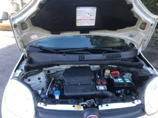 FIAT Panda usata 19