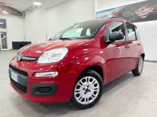 FIAT Panda usata 30