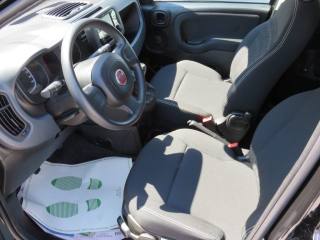 FIAT Panda usata, con Cronologia tagliandi
