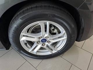 FORD Focus usata, con Cronologia tagliandi