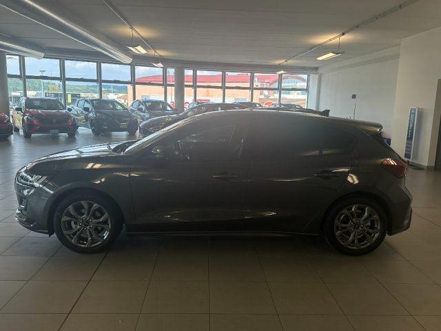 FORD Focus usata, con Airbag Passeggero