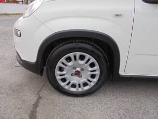 FIAT Panda usata, con Climatizzatore
