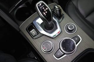 ALFA ROMEO Stelvio usata 13