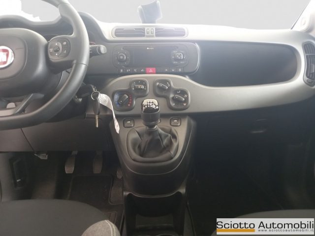 FIAT Panda usata 14