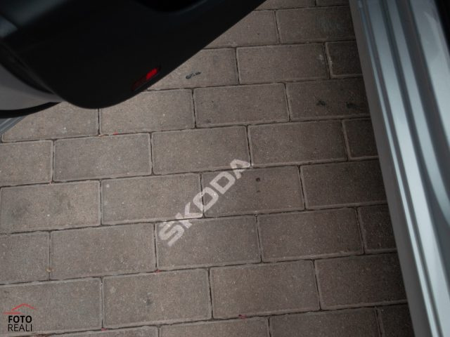SKODA Octavia usata 39