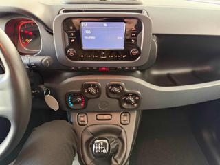 FIAT Panda usata 12