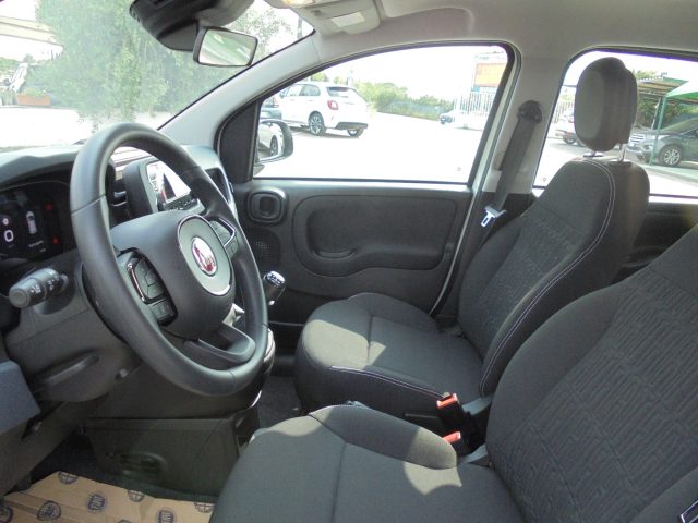 FIAT Panda usata 18
