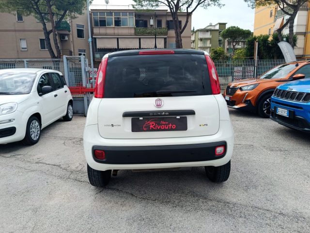 FIAT Panda usata, con Antifurto