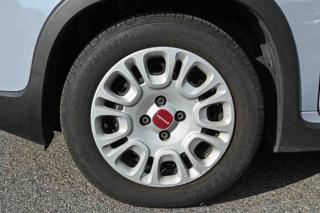 FIAT Panda usata, con Controllo trazione