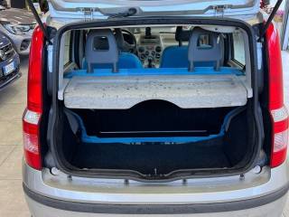 FIAT Panda usata, con Controllo automatico clima