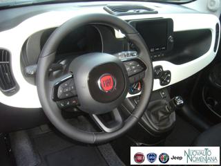 FIAT Panda Cross usata, con Volante in pelle