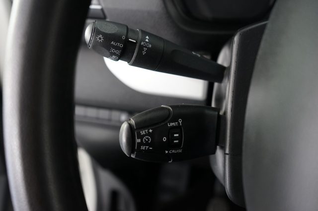 PEUGEOT Traveller usata 38