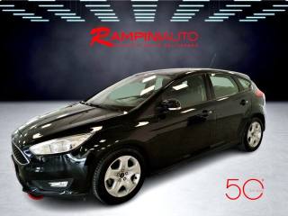 FORD Focus usata 12