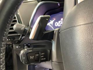 DS AUTOMOBILES DS 7 usata, con Controllo vocale