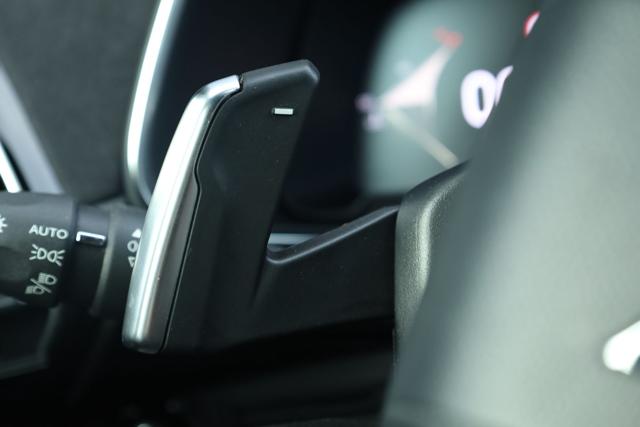 DS AUTOMOBILES DS 7 usata, con Vetri oscurati