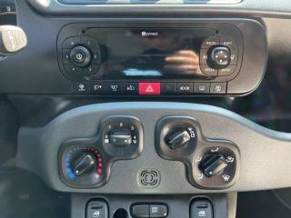 FIAT Panda usata 13