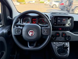FIAT Panda usata, con Immobilizzatore elettronico
