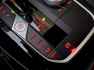 BMW X4 usata, con Bracciolo