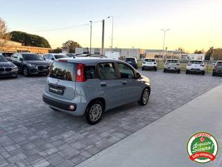 FIAT Panda usata, con Controllo trazione