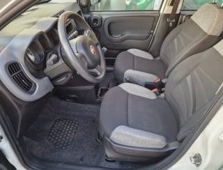 FIAT Panda usata, con Start/Stop Automatico