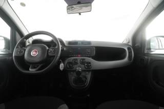 FIAT Panda usata 11