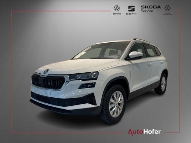 SKODA Karoq usata, con ABS