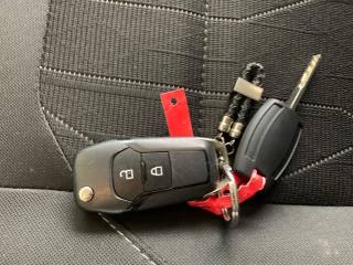 FORD EcoSport usata, con Controllo vocale