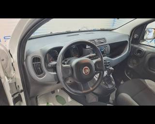 FIAT New Panda usata, con Controllo automatico clima
