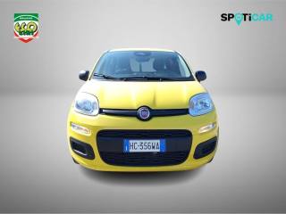FIAT Panda usata, con Airbag