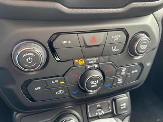 JEEP Renegade usata, con Climatizzatore