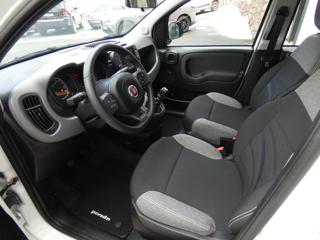 FIAT Panda usata, con Chiusura centralizzata